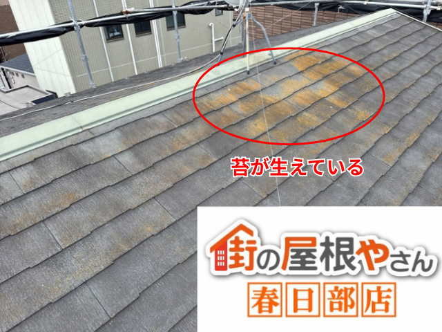越谷　屋根カバー工事　フックシングル